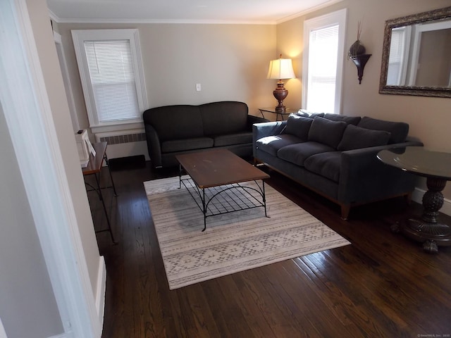 living area featuring crown molding, hardwood / wood-style flooring, radiator heating unit, and baseboards