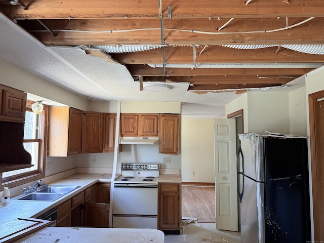 kitchen featuring under cabinet range hood, light countertops, freestanding refrigerator, white electric range oven, and a sink