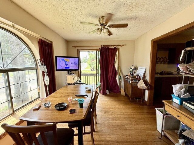 817 Woodtick Rd Unit A, Waterbury, CT 06705 - photo 11