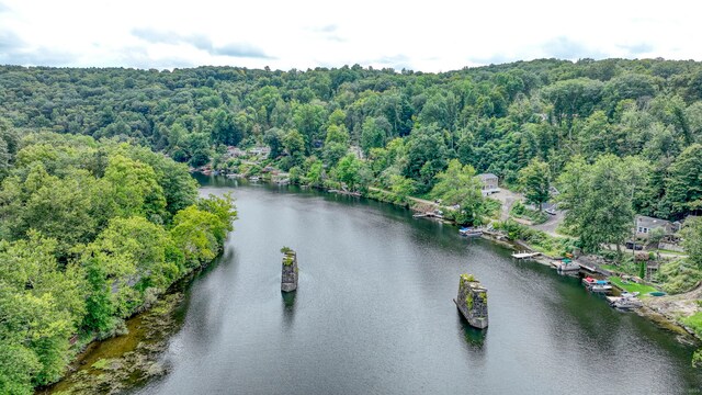 25 Brookbridge Dr, Newtown, CT 06482 - aerial view with a water view and a forest view