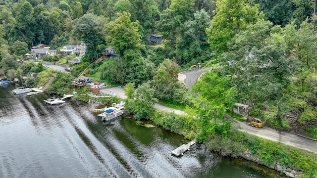 25 Brookbridge Dr, Newtown, CT 06482 - bird's eye view with a water view and a forest view