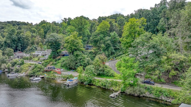 25 Brookbridge Dr, Newtown, CT 06482 - birds eye view of property featuring a water view and a view of trees