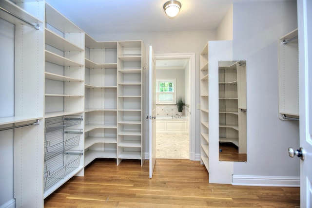spacious closet featuring light wood-style flooring