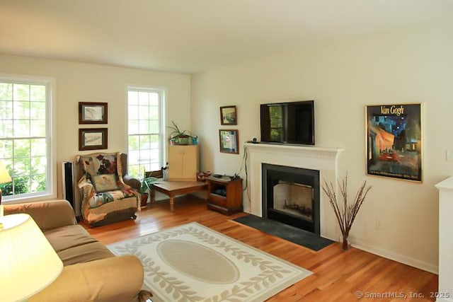 living area featuring a fireplace with flush hearth and wood finished floors