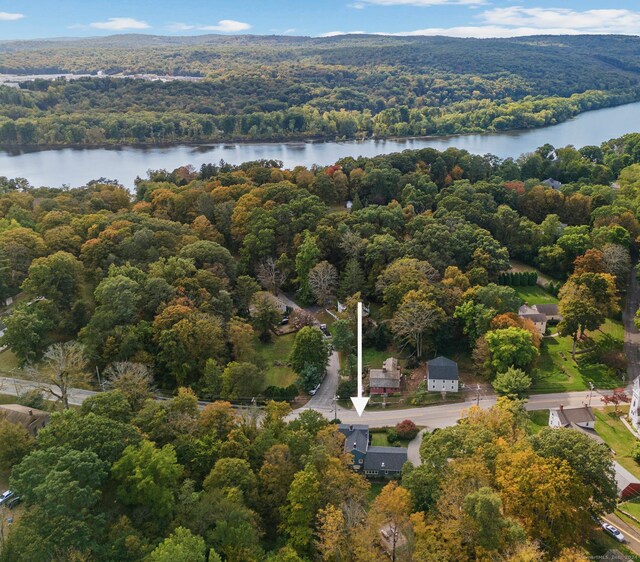 58 Middle Haddam Rd, East Hampton, CT 06456 - aerial view of a forest and a nearby body of water