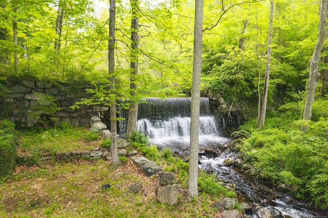 58 Middle Haddam Rd, East Hampton, CT 06456 - water view featuring a heavily wooded area