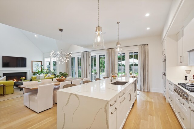kitchen with a kitchen island with sink, plenty of natural light, light wood finished floors, and a sink