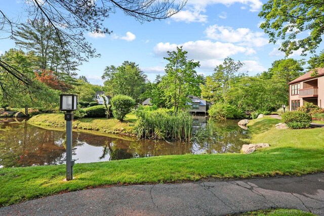 33 Heritage Dr Unit 33, Avon, CT 06001 - photo 30