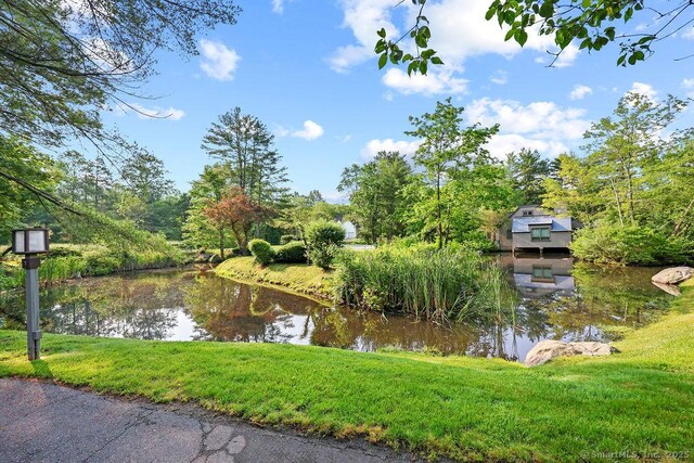 33 Heritage Dr Unit 33, Avon, CT 06001 - photo 31