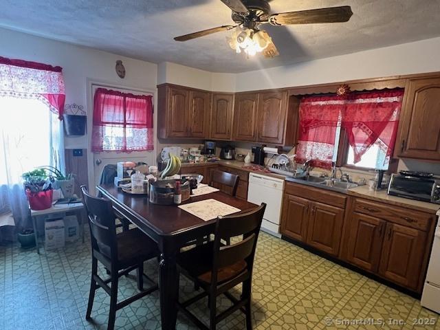 12 Avery St, Stonington, CT 06379 - kitchen with dishwasher, light floors, a sink, and healthy amount of natural light
