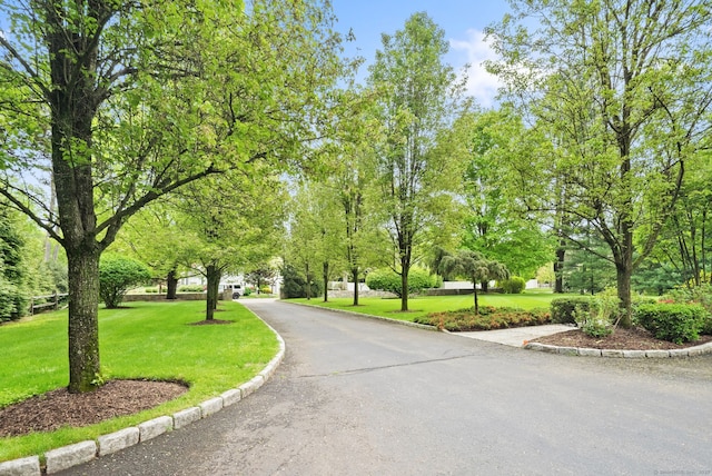 view of home's community with a lawn and asphalt driveway