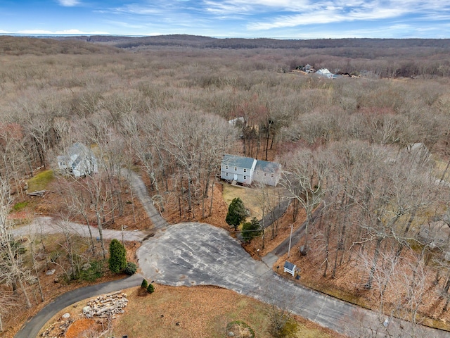 12 Nutmeg Ln, Essex, CT 06426 - aerial view of property and surrounding area