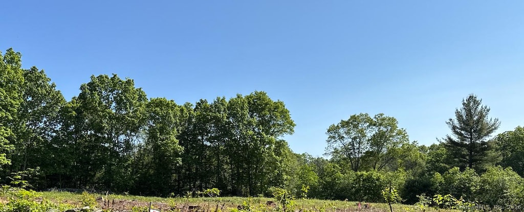 LOT2 Brook Rd, Hampton, CT 06247 - view of wooded area