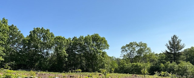 LOT2 Brook Rd, Hampton, CT 06247 - view of wooded area