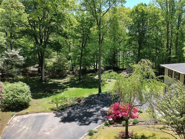 view of community with a forest view, aphalt driveway, and a lawn