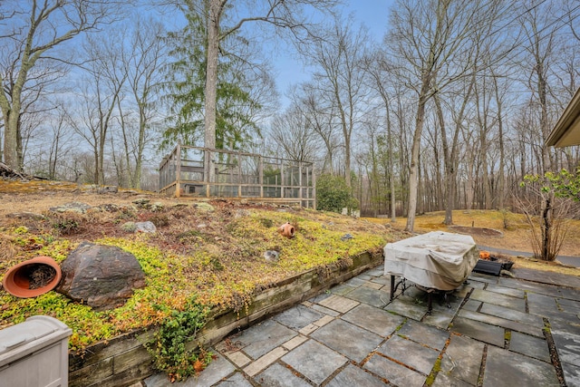 view of yard with a patio area