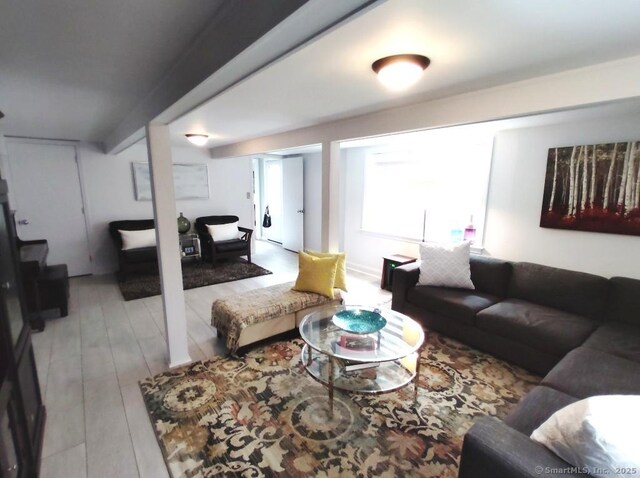 living room featuring wood finished floors