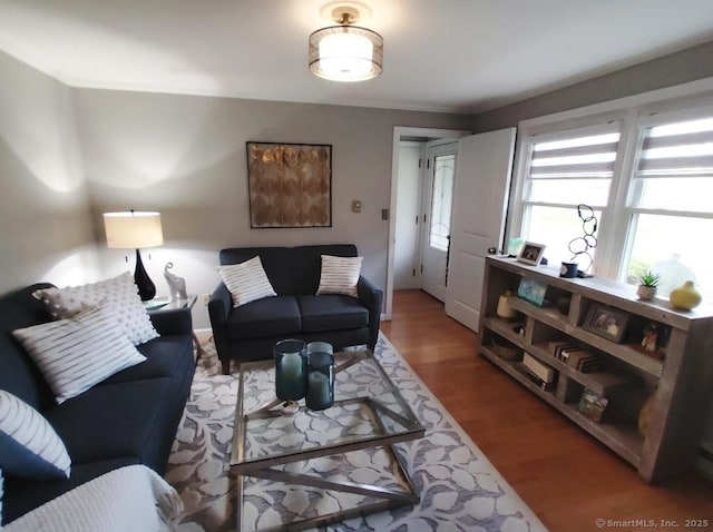 living room with crown molding and wood finished floors