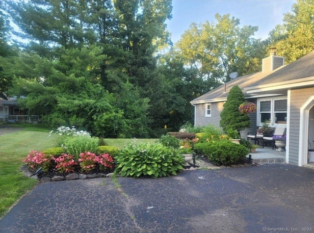 view of yard featuring a patio area