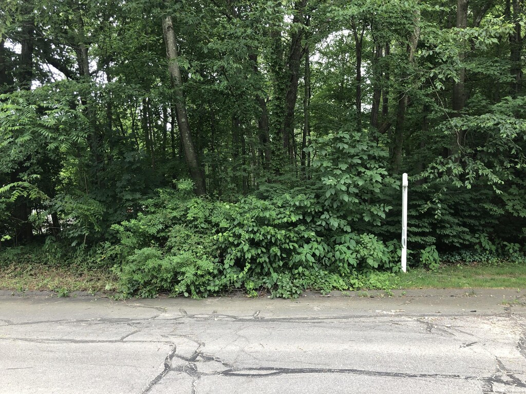15 Coral Dr, Plymouth, CT 06786 - photo 2