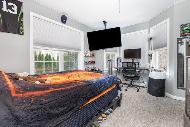 view of carpeted bedroom