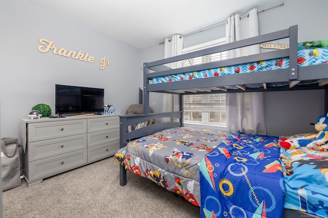 13 Sunset Ln, New Milford, CT 06776 - bedroom featuring carpet floors