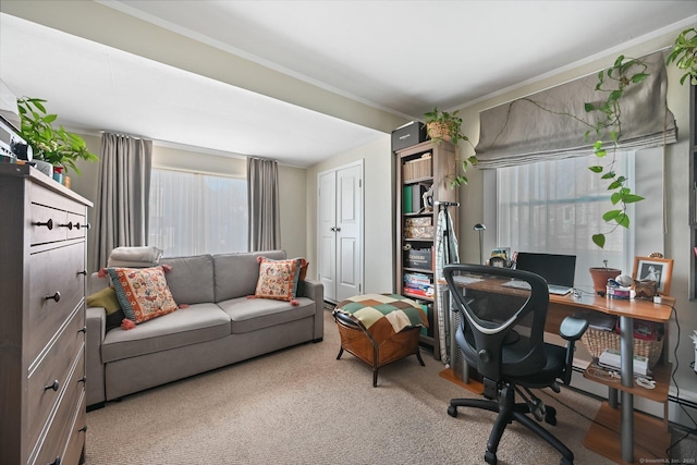 14 Overlook Pl, Stamford, CT 06907 - home office featuring carpet flooring and crown molding