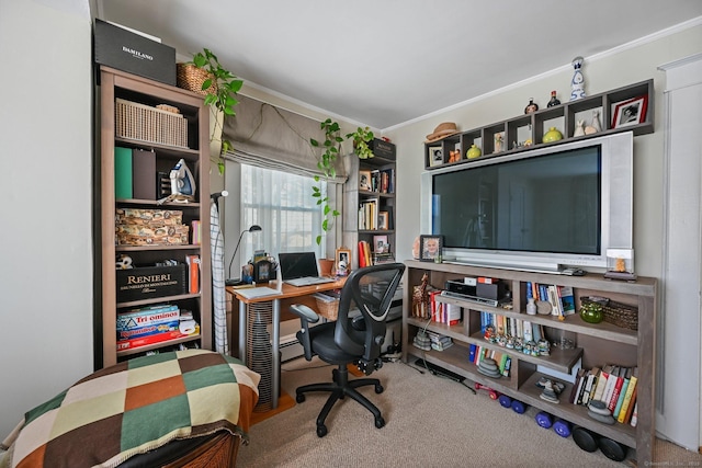 14 Overlook Pl, Stamford, CT 06907 - carpeted office featuring ornamental molding