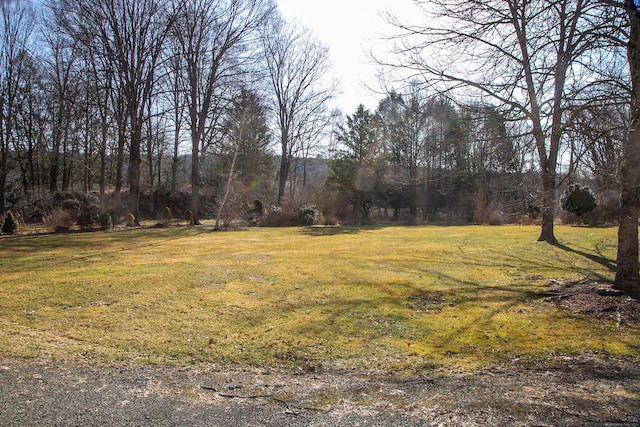 11 Hodge Rd, Roxbury, CT 06783 - view of green lawn