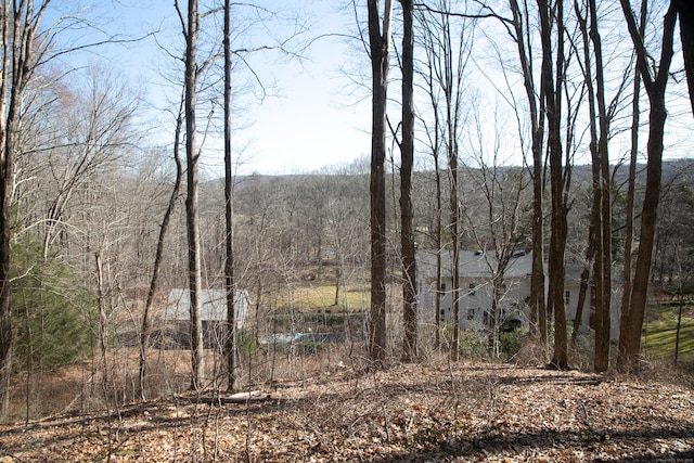 11 Hodge Rd, Roxbury, CT 06783 - view of wooded area