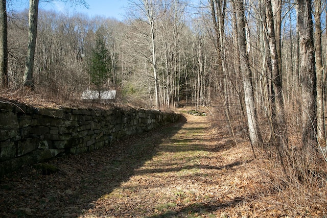 11 Hodge Rd, Roxbury, CT 06783 - view of road with a view of trees