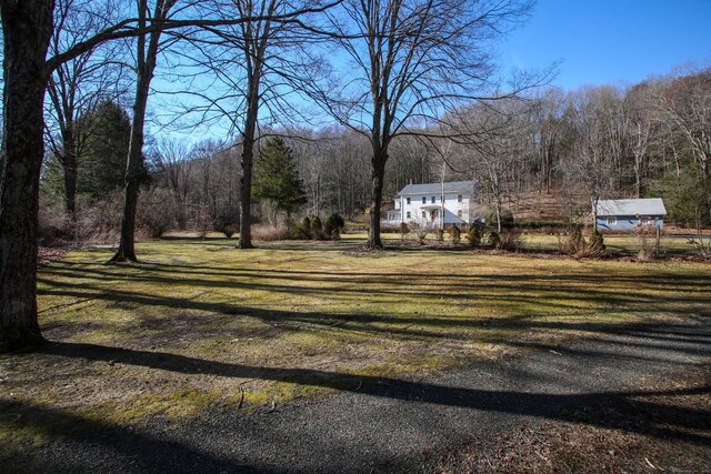 11 Hodge Rd, Roxbury, CT 06783 - view of grassy yard with a wooded view
