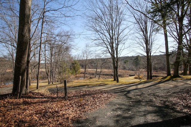11 Hodge Rd, Roxbury, CT 06783 - view of road