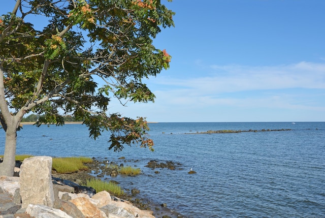 water view