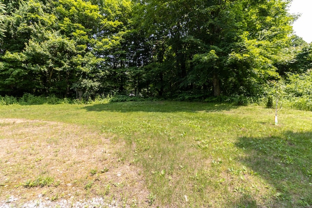 8 Tom Rd, East Haddam, CT 06423 - view of yard