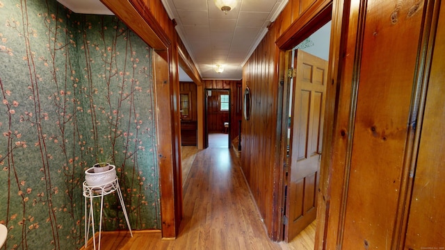 85 Hillcrest Ter, Meriden, CT 06450 - corridor featuring light wood-style flooring and wooden walls