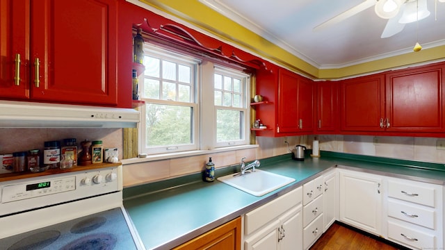 85 Hillcrest Ter, Meriden, CT 06450 - kitchen featuring electric range oven, a sink, ornamental molding, white cabinets, and a ceiling fan