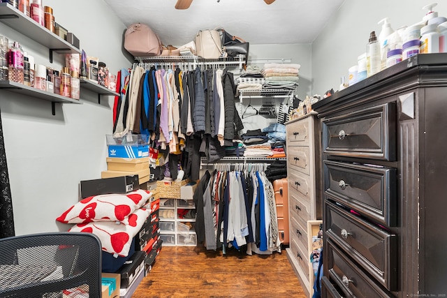 spacious closet featuring wood finished floors and a ceiling fan