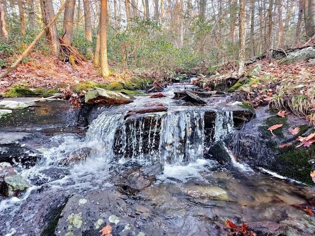 view of local wilderness featuring a view of trees