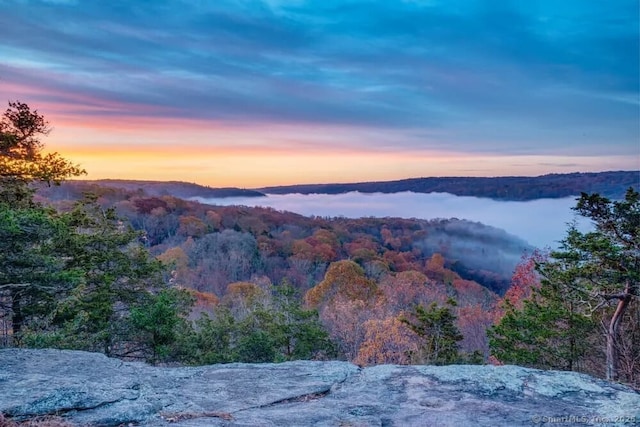mountain view with a wooded view