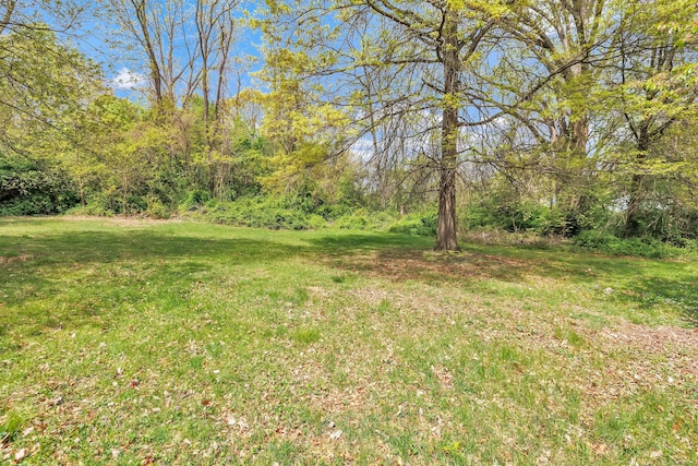 view of yard with a view of trees