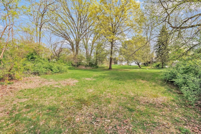view of yard