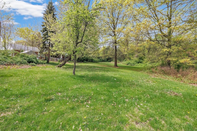 view of yard