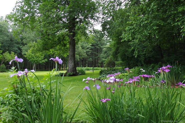 277 Milton Rd, Warren, CT 06756 - surrounding community with a yard