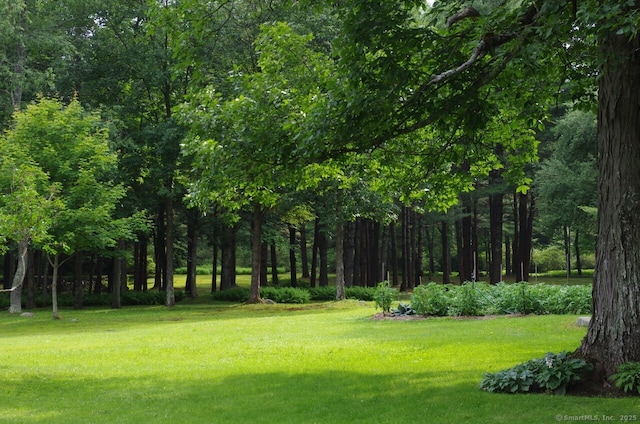 277 Milton Rd, Warren, CT 06756 - view of community with a lawn
