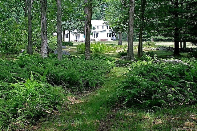 277 Milton Rd, Warren, CT 06756 - view of yard