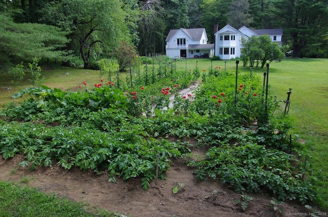 277 Milton Rd, Warren, CT 06756 - view of grassy yard with a garden and a wooded view