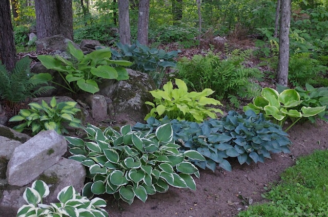 277 Milton Rd, Warren, CT 06756 - view of nature