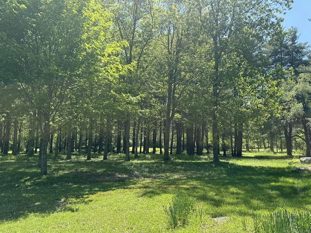 277 Milton Rd, Warren, CT 06756 - view of local wilderness