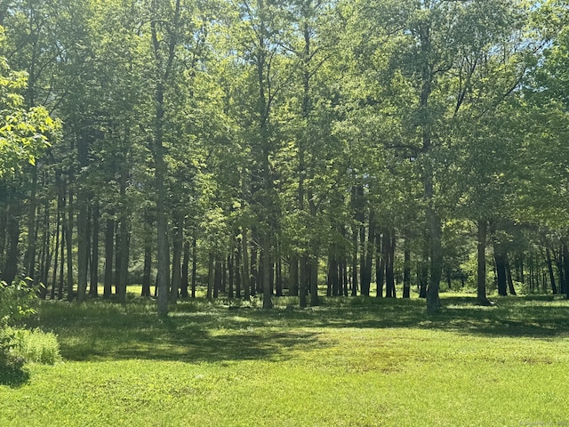 277 Milton Rd, Warren, CT 06756 - view of woods